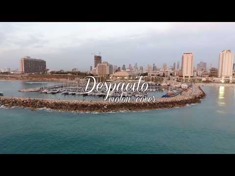 Israel Gatterer - Despacito violin cover