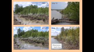 preview picture of video 'The 2012 Red Deer River Oil Spill: Analyzing Impacts in the Floodplain Zone'