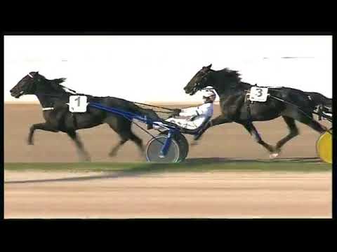 Trotto 25102020   4ª corsa   GP Lotteria 3ª batteria