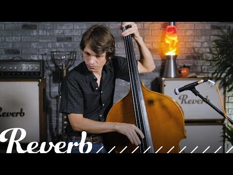 Legendary Upright Bass Influences of Paul Kowert | Reverb Learn to Play