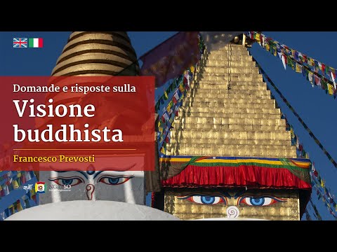 Domande e risposte con Francesco Prevosti