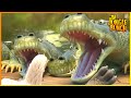 An Explosive Duel Jungle Bunch 75 Compilation Cartoon For Kids