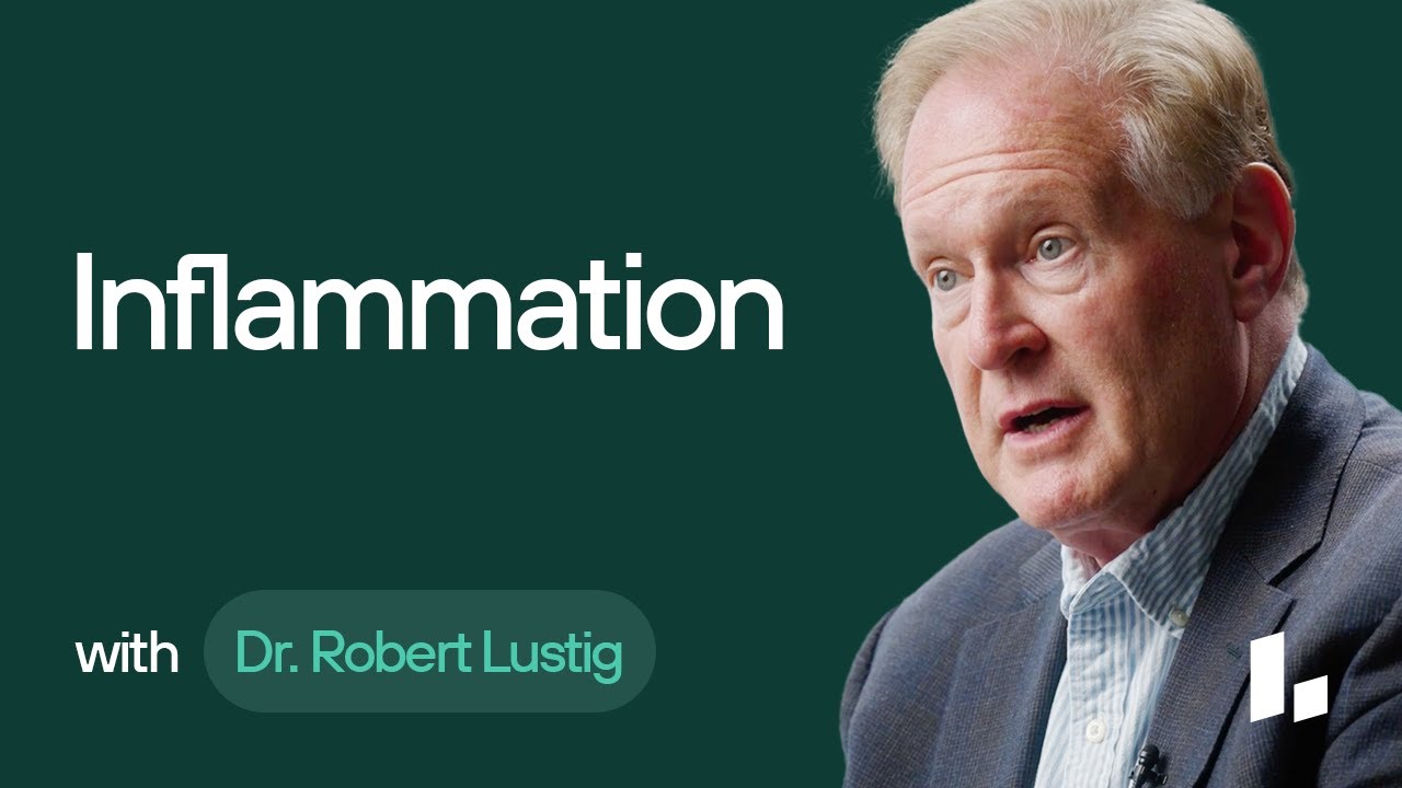 What Are Anti-Inflammatory Foods & Why Are They Crucial for Health? | Dr. Rob Lustig Ultimate Guide