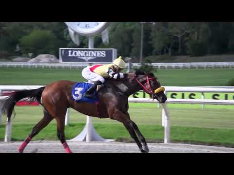 230318 c03 ROYAL CROQUETA