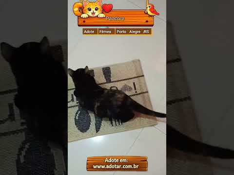 Vídeo de Pandora 