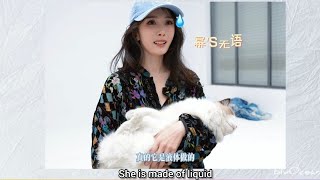 ENGSUB Yang Mi wants to take another cat home 幂：来抱一下 猫：哇，好香！姐姐快把我抱走 #actress #yangmi #杨幂