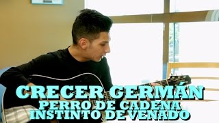 CRECER GERMAN - PERRO DE CADENA/INSTINTO DE VENADO (Versión Pepe&#39;s Office)