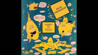 Digital Underground - Underwater Rimes (Longer Version)