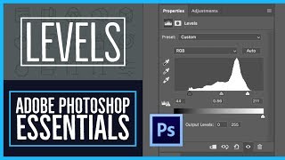 How to fix an image using levels in Photoshop CC - Photoshop CC Essentials [5/86]