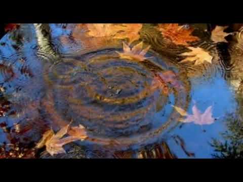 Арик Айнштейн - Листопад в сердце