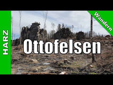Über die Steinerne Renne zum Ottofelsen | 17.04.2022 | Wandern Harz
