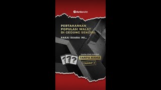 Download lagu Solusi Aman dari Pembajak Suara Walet #duniawalet #suarawalet #suarainapwalet #suarapanggilwalet mp3 Download lagu Solusi Aman dari Pembajak Suara Walet #duniawalet #suarawalet #suarainapwalet #suarapanggilwalet mp3