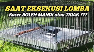 Download lagu SAAT EKSEKUSI LOMBA KACER BOLEH DIMANDIKAN ATAU TIDAK ??? mp3