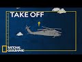 How Helicopters Fly | Science of Stupid: Ridiculous Fails