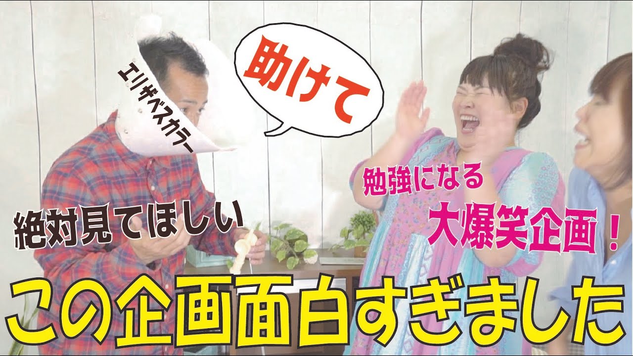 【大爆笑】ワンコの気持ちを体感しようとカラーをつけてみたら、ただただ面白い動画になった。