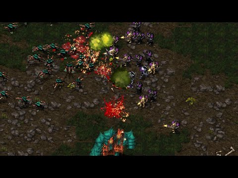 EFFORT vs SSAK Ladder Battle  - Starcraft Broodwar