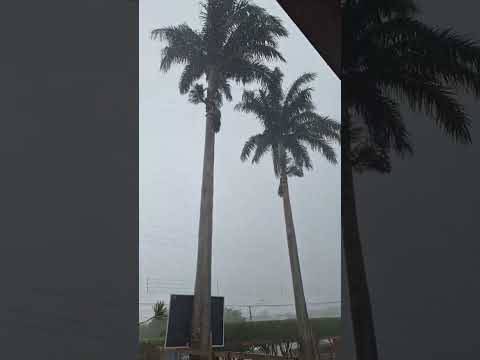 chuva com vento em Santana do Ipanema AL
