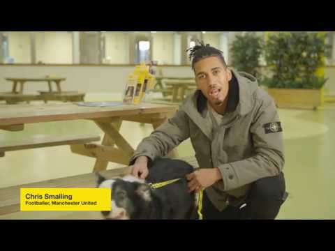 Dan Hunt video.