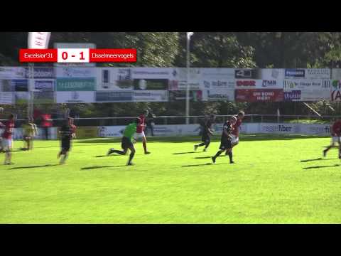 Excelsior'31 - IJsselmeervogels