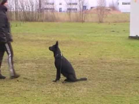 15-12-2013 Face von der Teufelskehle