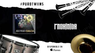 El Komander - Prohibida (Álbum Éxitos Con Banda)