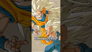 Buu Saga was never supposed to exist