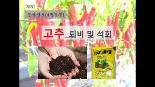 [농사정보] (4월2주)  고추_퇴비 및 석회