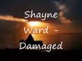 Shayne Ward Damaged
