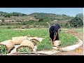 Curso Administração da Pequena Empresa Rural