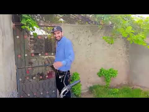 Visiting Our Cat Shelter House 🐾 | New Rubbing Posts Installed for Cats | With Kamran the Carpenter