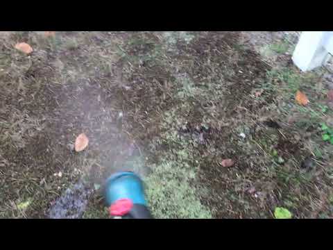 Treating the Yard for Ticks in Princeton...