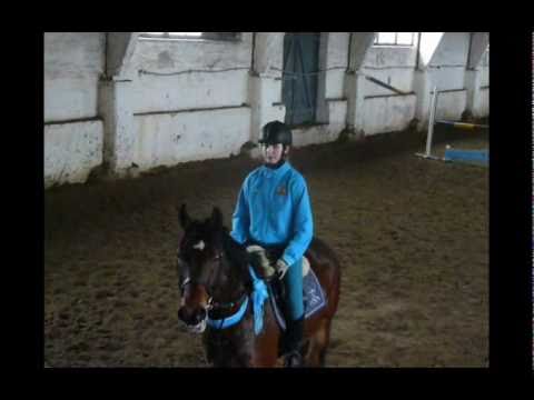 Szał podmurówek, Podgaj.