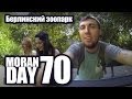 Moran Day 70 - Берлинский Зоопарк 