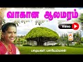 மாரியம்மாள் பாடிய வீடியோ நாட்டுப்பு�