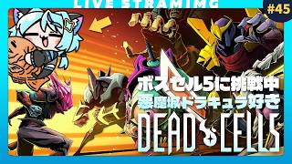 【Dead Cells】ボスセル5クリア目前！あとは王の手倒すだけの状態｜道中は全然😅｜45日目