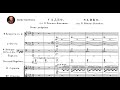 Rimsky Korsakov - Sadko 