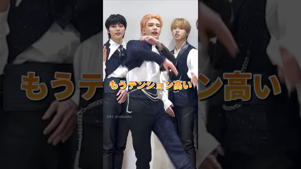 様子のおかしい自己紹介 #straykids #スキズ #skz