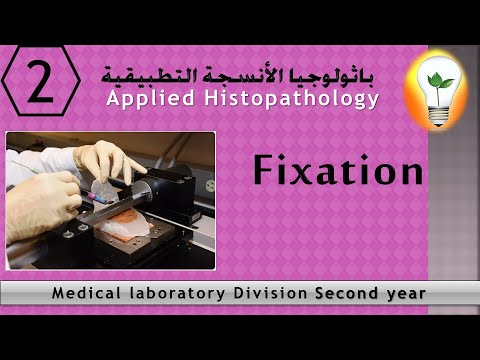 Histopathology 1 Introduction to basic pathology مقدمة إلى أساسيات الباثولوجي