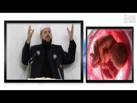 Mrekullia e krijimit të embrionit në barkun e nënës (Subhanallah!) - Hoxhë Shefqet Krasniqi