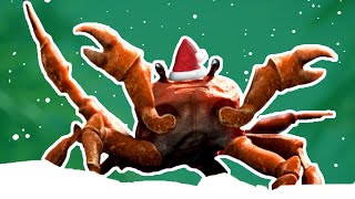 Download lagu A Very Crabby Christmas mp3 Download lagu A Very Crabby Christmas mp3