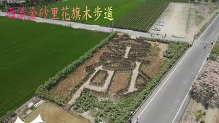 2021台南西港區花旗木步道