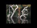 ARVO PÄRT : Spiegel im Spiegel ( Cello + Piano ...