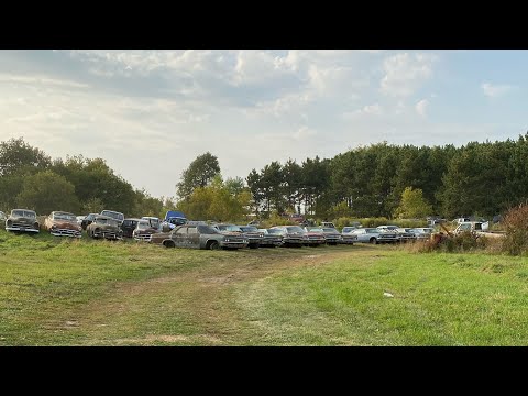 WE BOUGHT A CLASSIC CAR JUNK YARD! SOLD OUT!