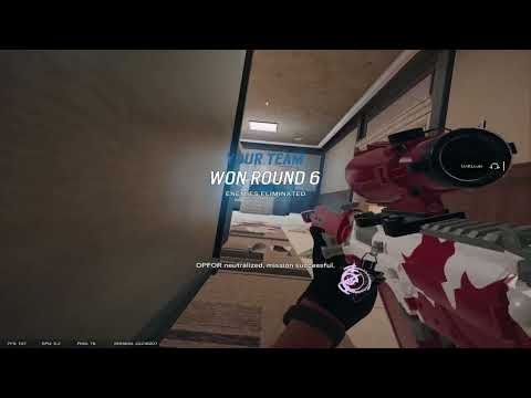 Brava and Mozzie Main