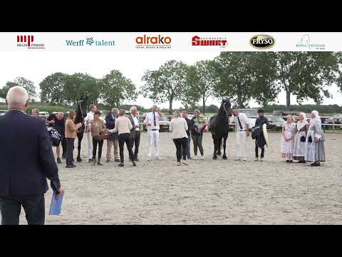 Fokdag | Het Friesche Paard Wolvega | 23 Augustus 2025