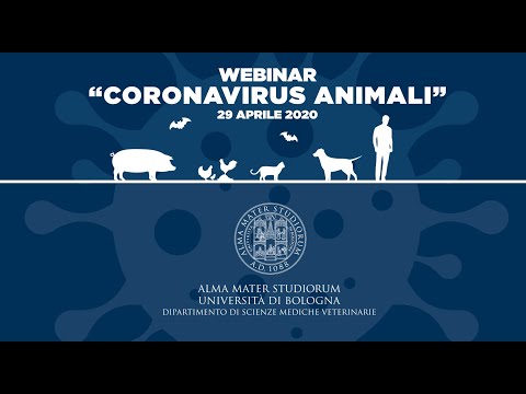 , title : 'Coronavirus Animali  - 1a Parte'