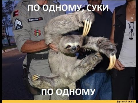 Салам мусарам,дам по зубам LKS АУЕ В В ЖОПЕ КС НУБЫ!