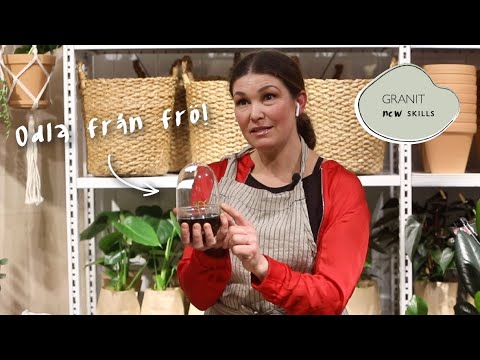 Granit New Skills - Jessica Lyon lär oss vinterodla | GRANIT