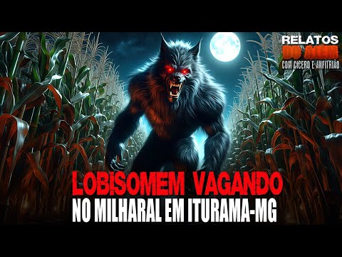 Lobisomem Vagando no Milharal em Iturama - MG (INÉDITO) - Relatos Da Fera | 1080p