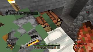 マイクラやんちゃをしたい！！